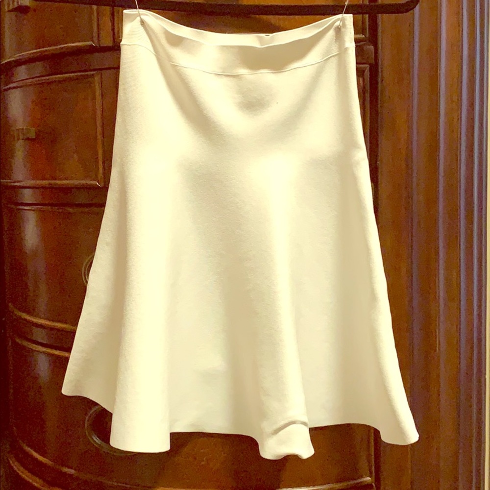 BCBG skirt
